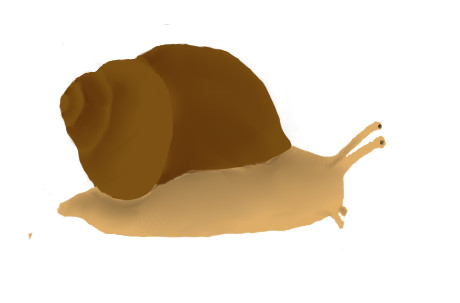 šneček